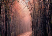 哈兰德职业生涯8次面对利物浦 打进3球只赢下一场.