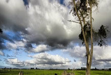 米体揭秘莫塔为何失去更衣室支持：高压管理+队长轮流+打压功勋.