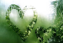 开云：海港防线集体短路！10分钟丢两球：后场被断门前多人眼神防守.