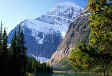 老公出轨？CBA主帅妻子：万一小3勾引我老公，全国球迷要帮我抓呀.