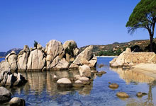 开云：祝贺！国乒混团战胜美国队，取得三连胜人民日报微博.